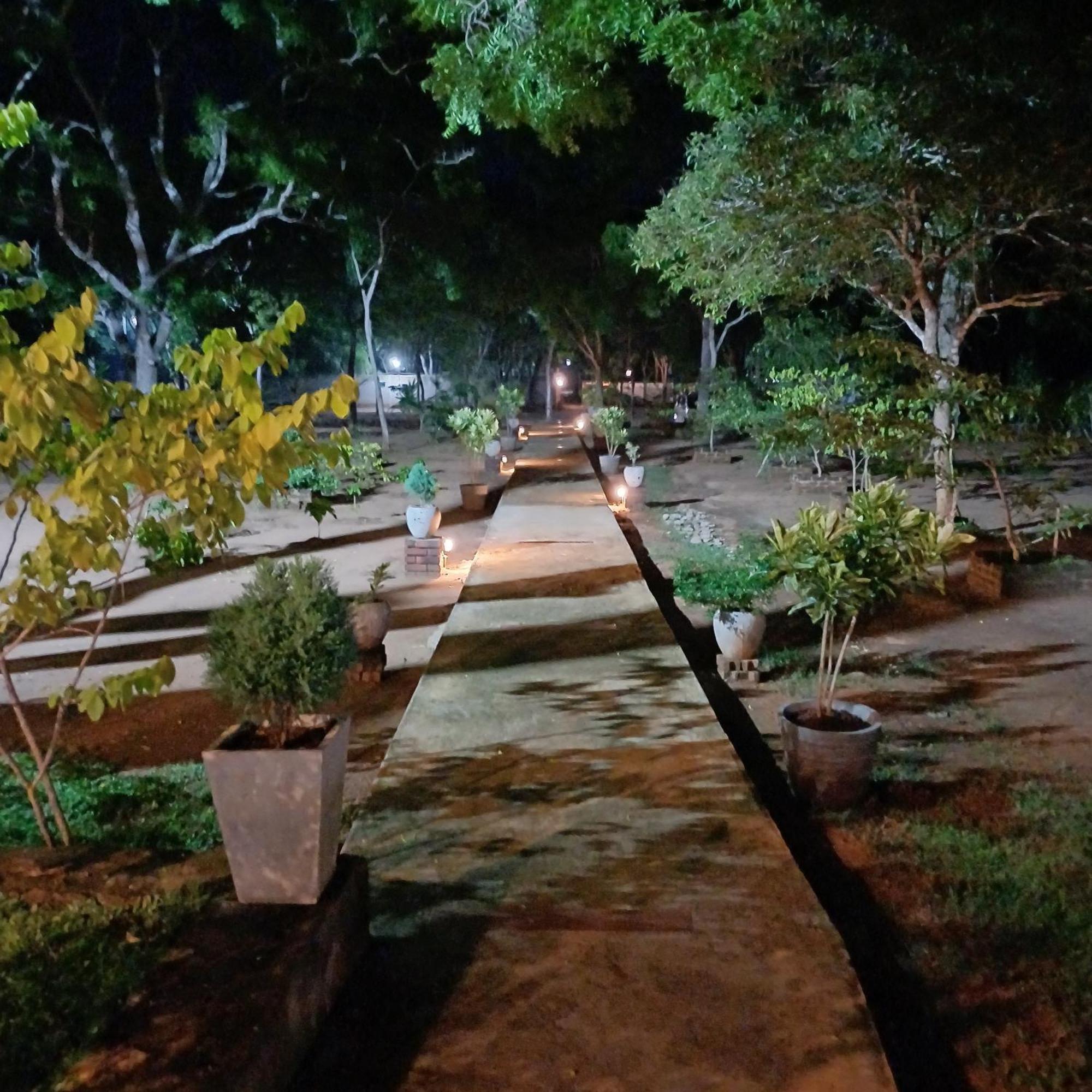 Forest Edge Villa 아누라다푸라 외부 사진