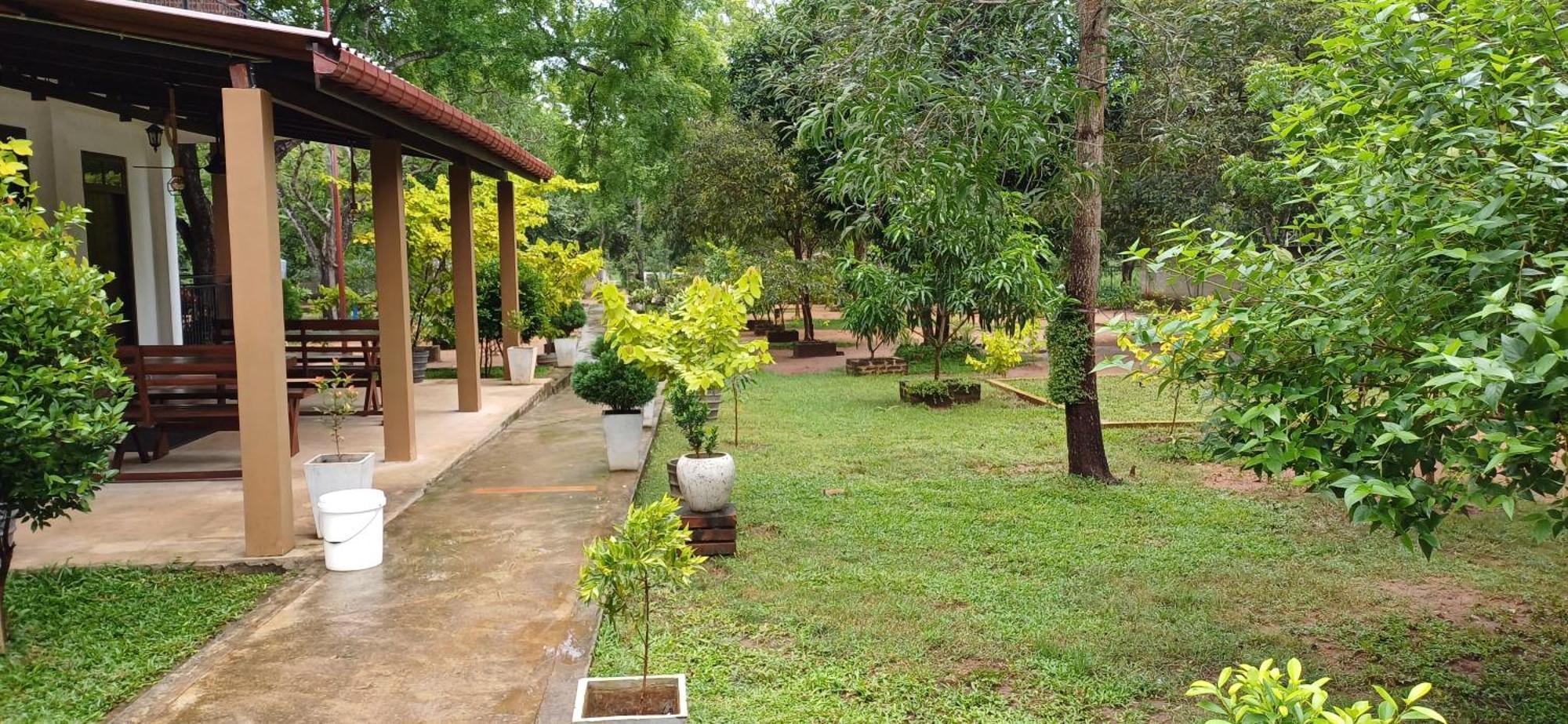 Forest Edge Villa 아누라다푸라 외부 사진